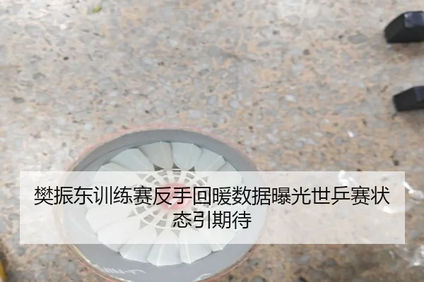 樊振东训练赛反手回暖数据曝光世乒赛状态引期待